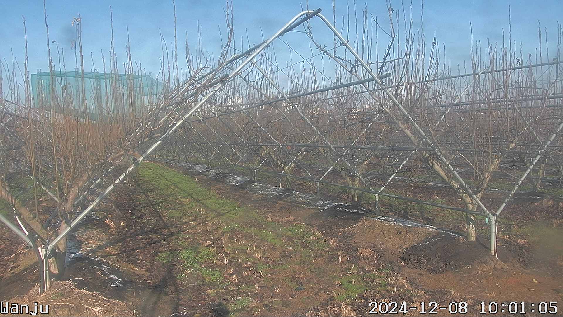 20241208 2번째 과원영상이미지