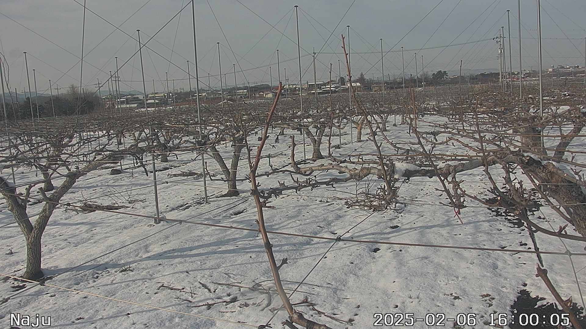 20250206 11번째 과원영상이미지