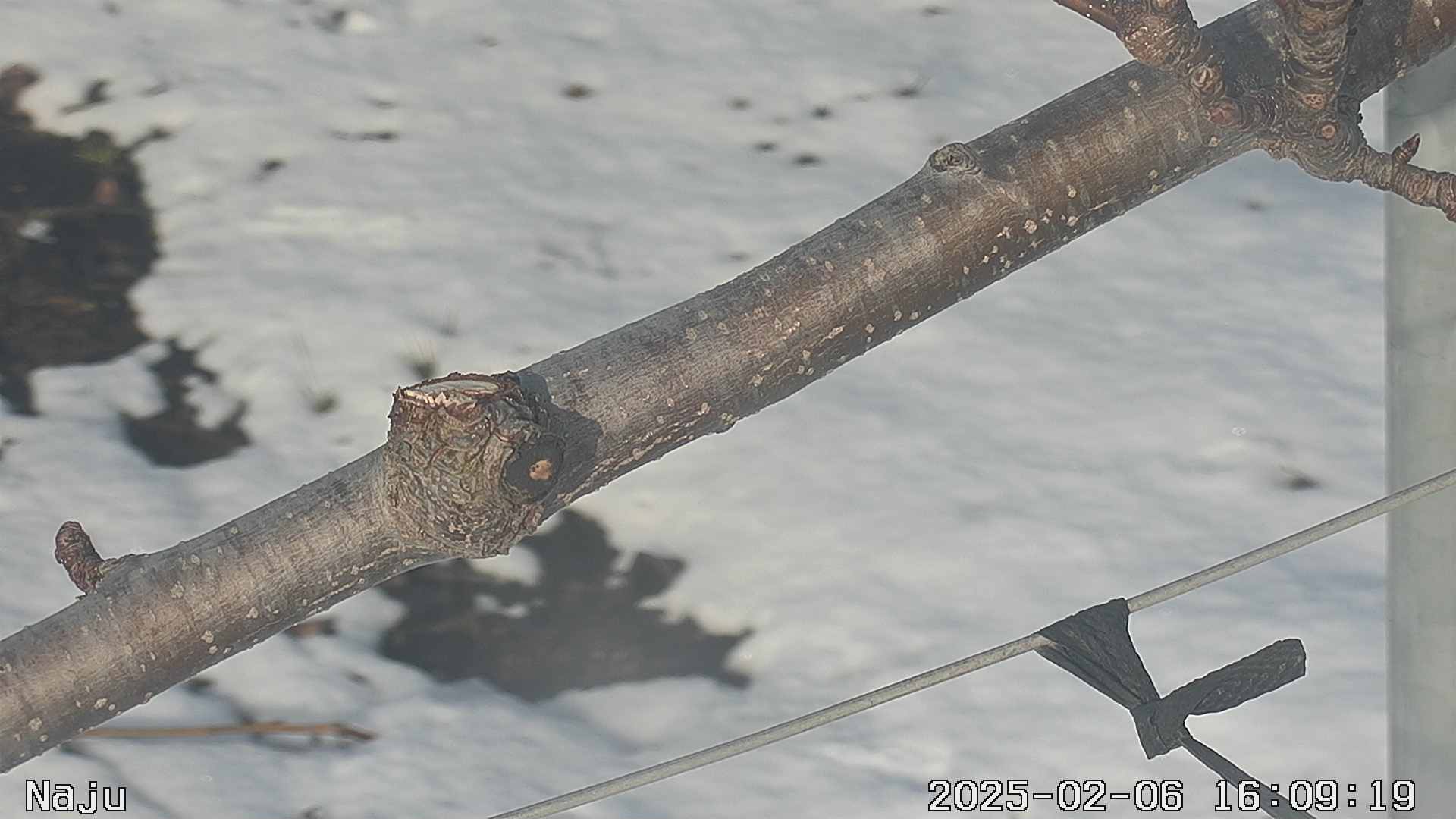 20250206 20번째 과원영상이미지