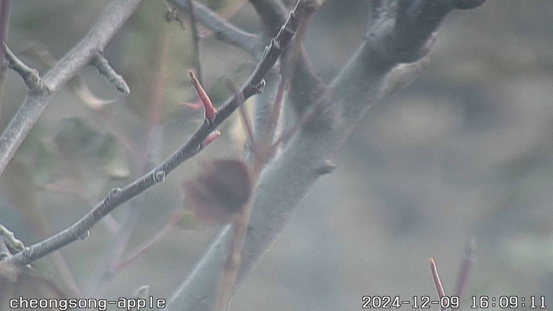 20241209 20번째 과원영상이미지